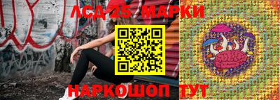 стаф Донецк