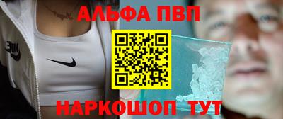 гашик Донской