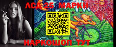 гашик Донской