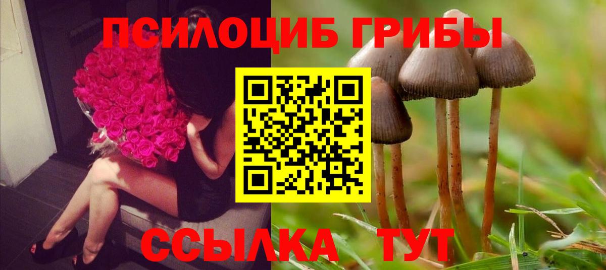 Муравленко  Псилоцибиновые грибы GOLDEN TEACHER  Вход с VPN 