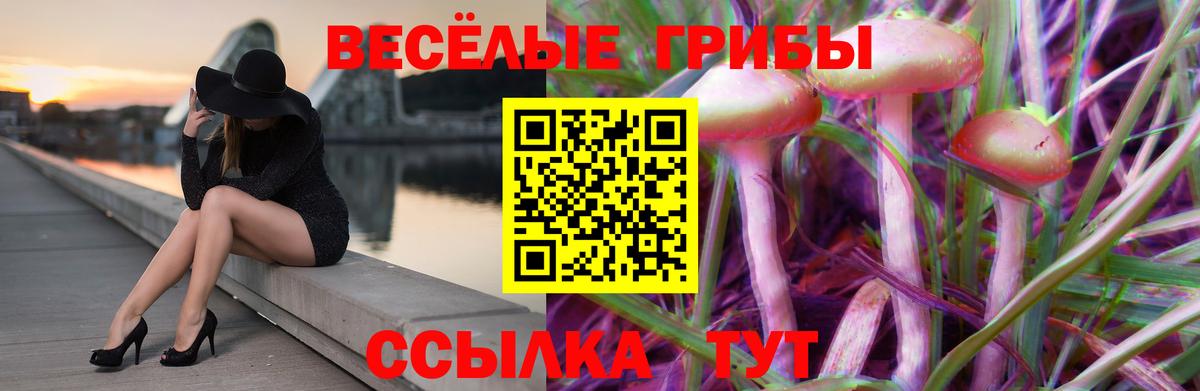 Псилоцибиновые грибы Cubensis Муравленко